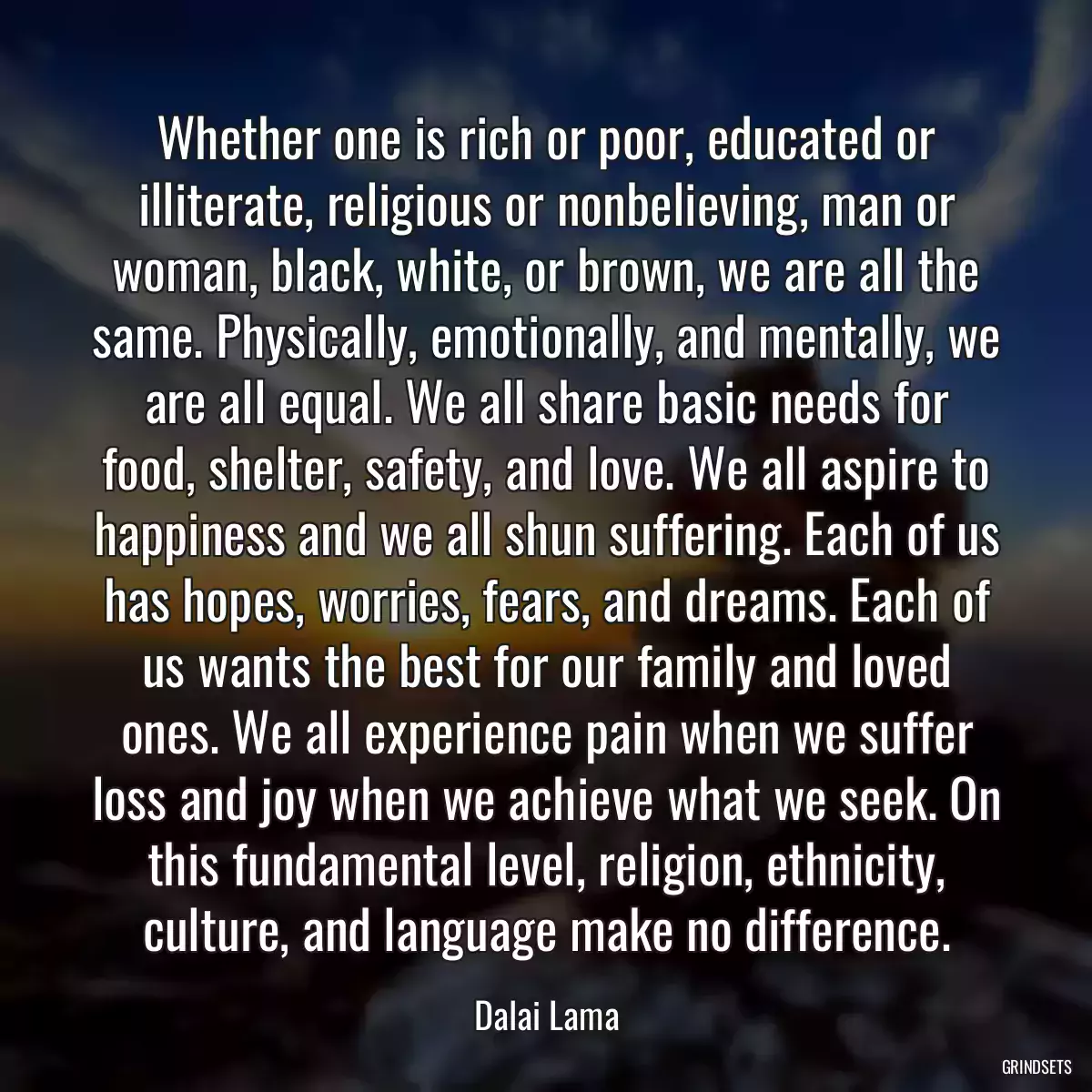 Whether one is rich or poor, educated or illiterate, religious or nonbelieving, man or woman, black, white, or brown, we are all the same. Physically, emotionally, and mentally, we are all equal. We all share basic needs for food, shelter, safety, and love. We all aspire to happiness and we all shun suffering. Each of us has hopes, worries, fears, and dreams. Each of us wants the best for our family and loved ones. We all experience pain when we suffer loss and joy when we achieve what we seek. On this fundamental level, religion, ethnicity, culture, and language make no difference.