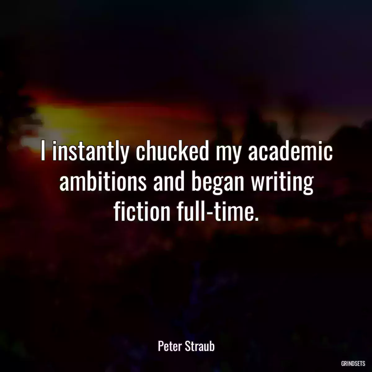 I instantly chucked my academic ambitions and began writing fiction full-time.