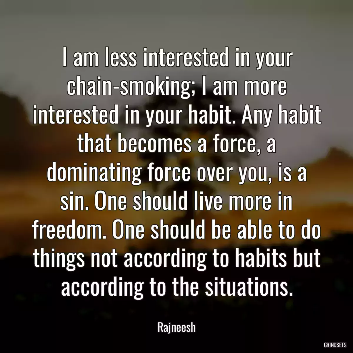 I am less interested in your chain-smoking; I am more interested in your habit. Any habit that becomes a force, a dominating force over you, is a sin. One should live more in freedom. One should be able to do things not according to habits but according to the situations.