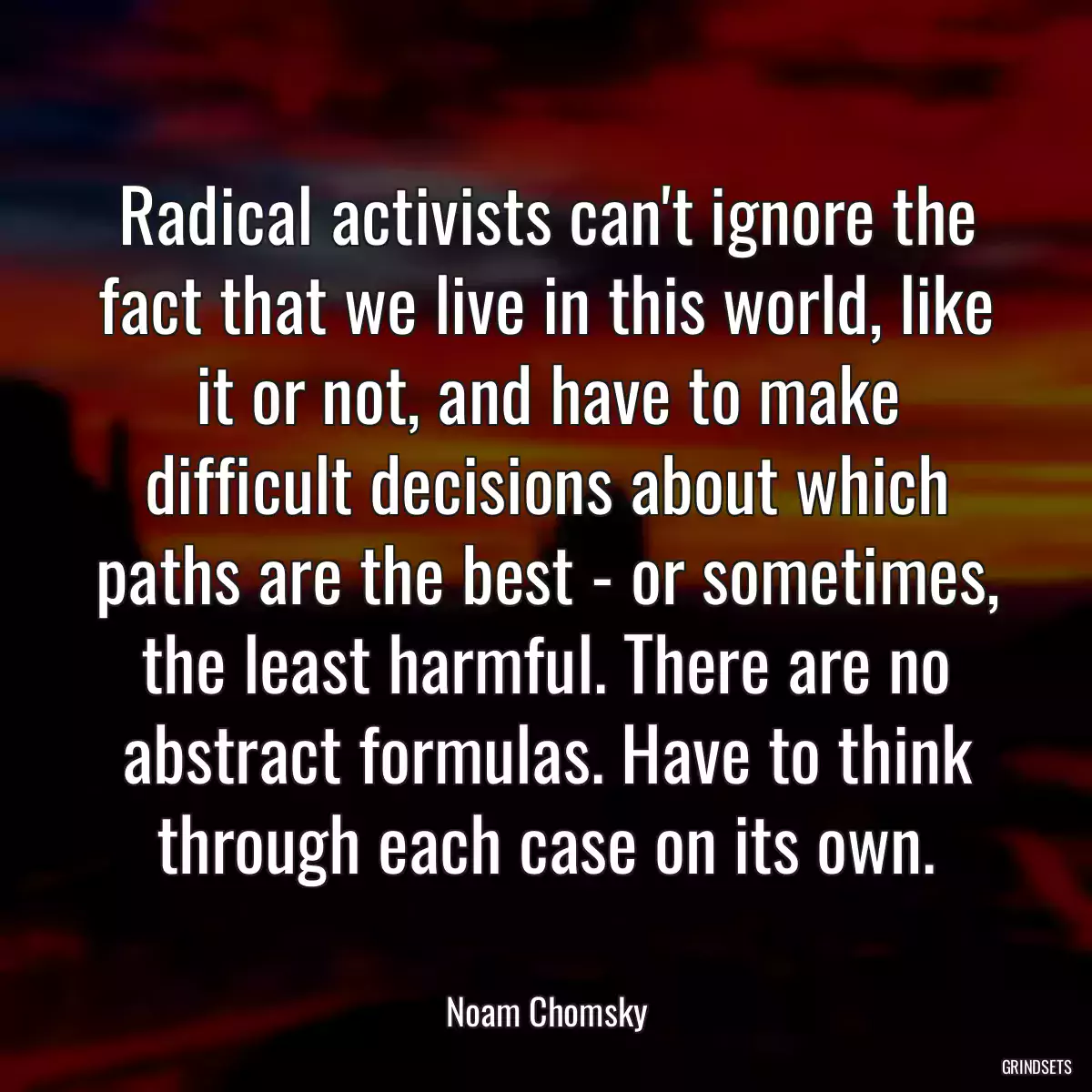 Radical activists can\'t ignore the fact that we live in this world, like it or not, and have to make difficult decisions about which paths are the best - or sometimes, the least harmful. There are no abstract formulas. Have to think through each case on its own.