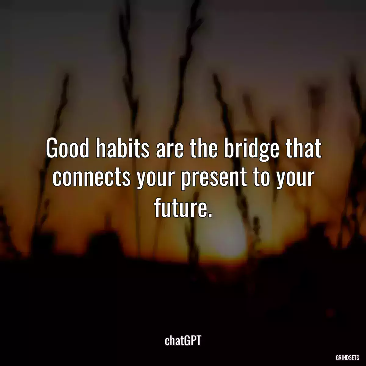 Good habits are the bridge that connects your present to your future.