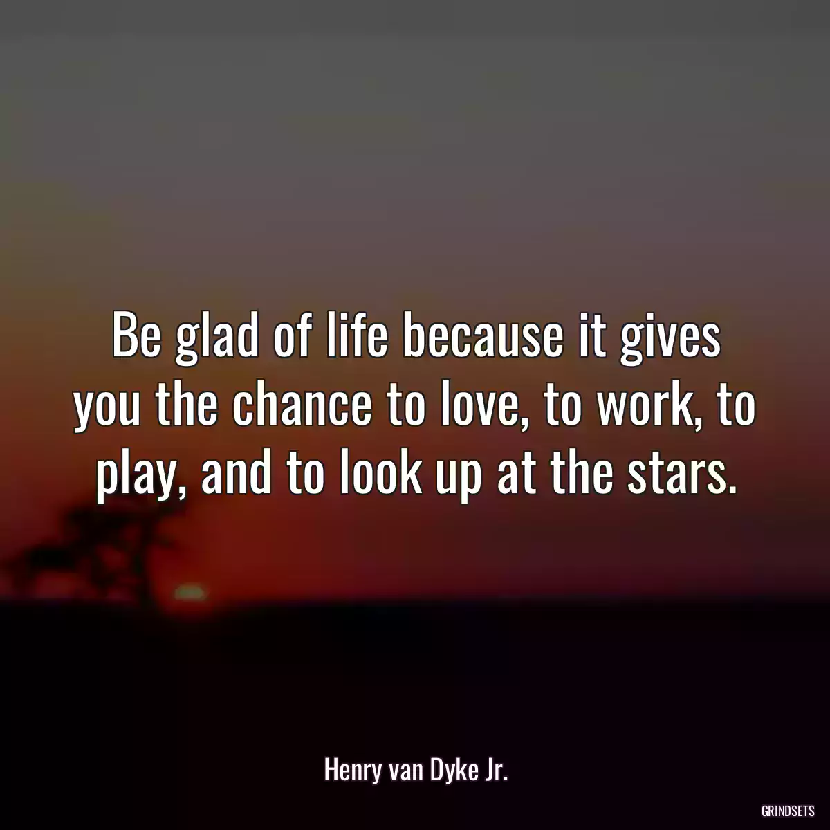 Be glad of life because it gives you the chance to love, to work, to play, and to look up at the stars.