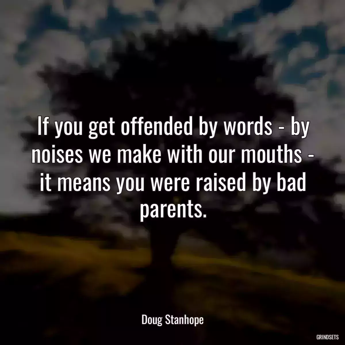 If you get offended by words - by noises we make with our mouths - it means you were raised by bad parents.