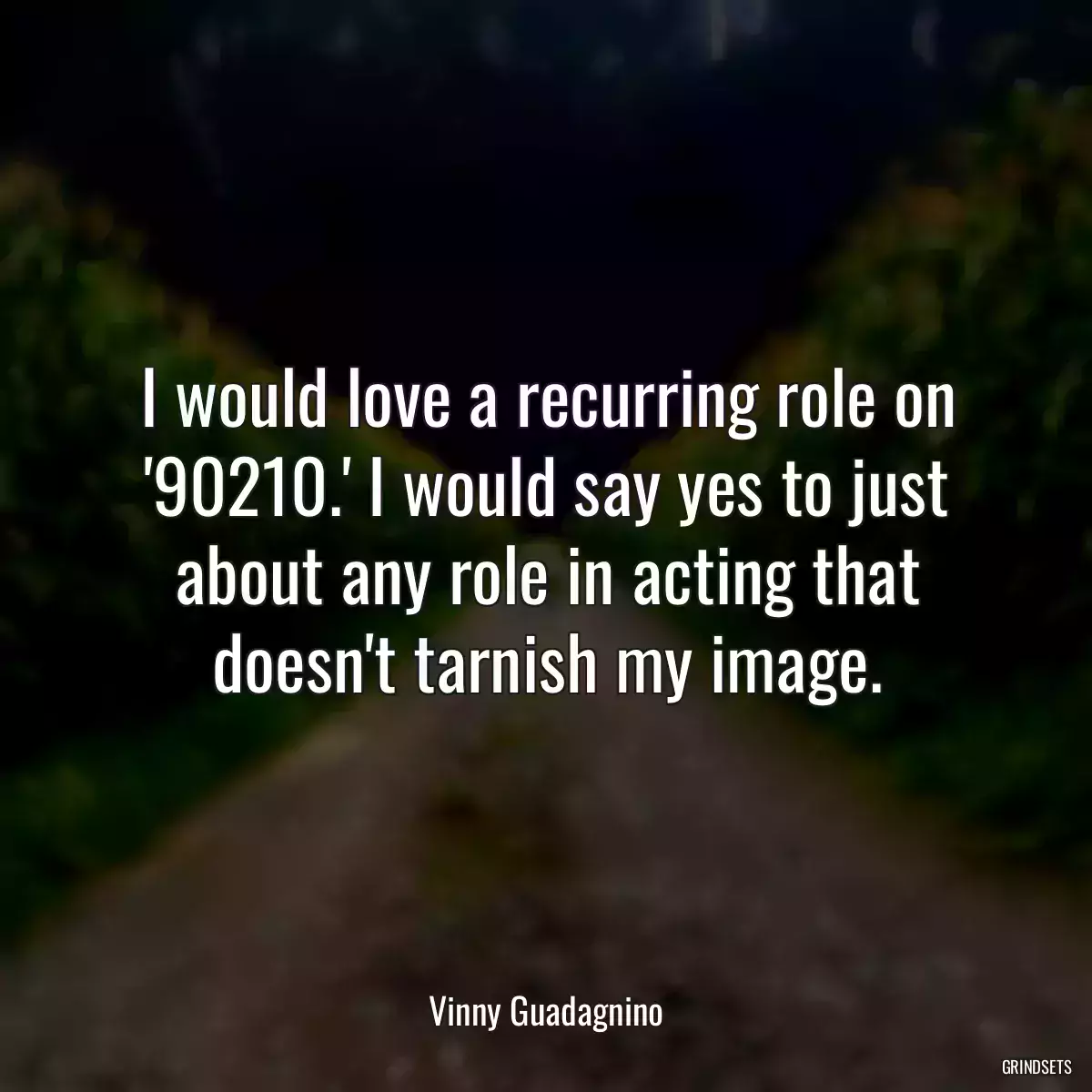 I would love a recurring role on \'90210.\' I would say yes to just about any role in acting that doesn\'t tarnish my image.