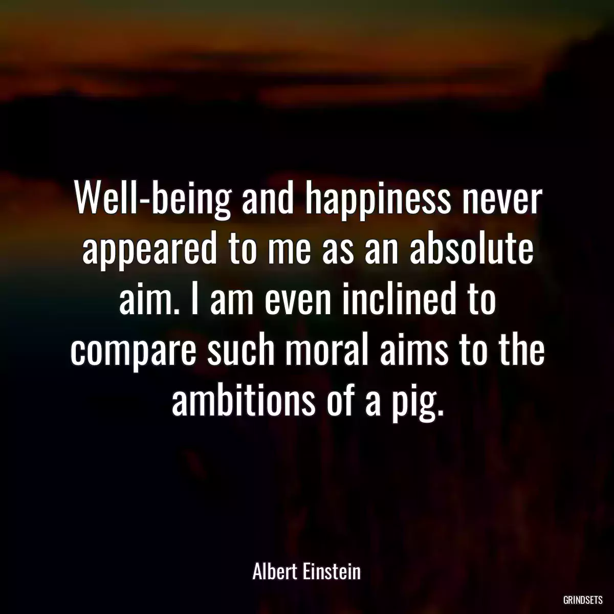 Well-being and happiness never appeared to me as an absolute aim. I am even inclined to compare such moral aims to the ambitions of a pig.