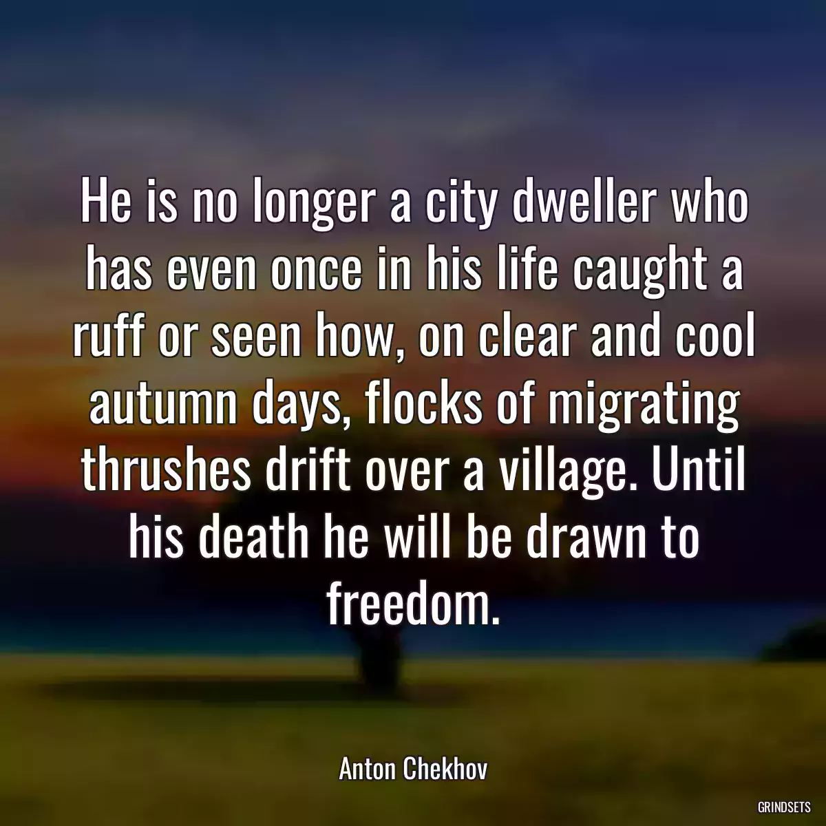 He is no longer a city dweller who has even once in his life caught a ruff or seen how, on clear and cool autumn days, flocks of migrating thrushes drift over a village. Until his death he will be drawn to freedom.