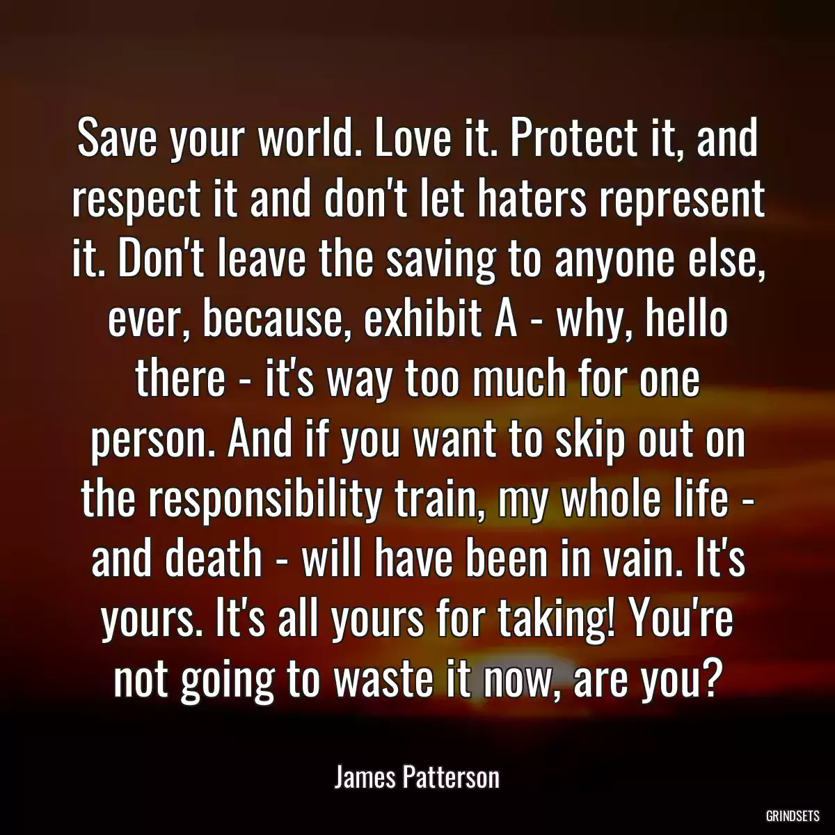 Save your world. Love it. Protect it, and respect it and don\'t let haters represent it. Don\'t leave the saving to anyone else, ever, because, exhibit A - why, hello there - it\'s way too much for one person. And if you want to skip out on the responsibility train, my whole life - and death - will have been in vain. It\'s yours. It\'s all yours for taking! You\'re not going to waste it now, are you?