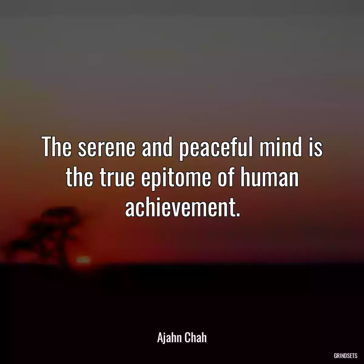 The serene and peaceful mind is the true epitome of human achievement.