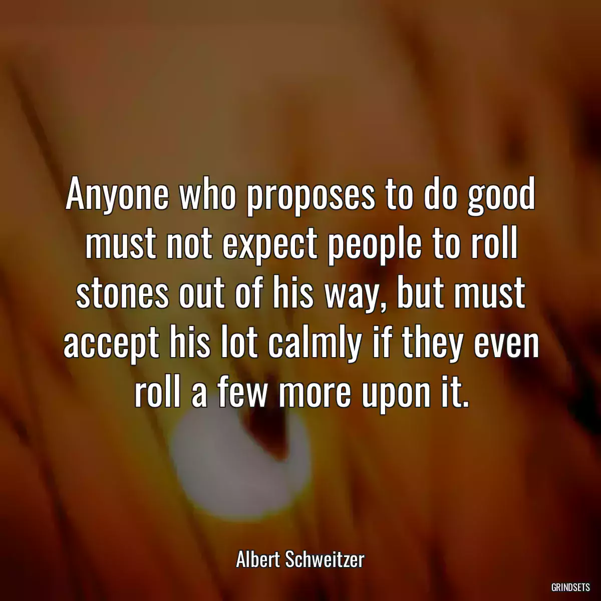 Anyone who proposes to do good must not expect people to roll stones out of his way, but must accept his lot calmly if they even roll a few more upon it.