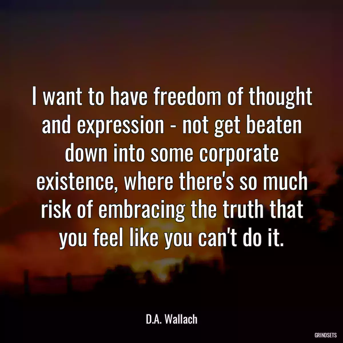 I want to have freedom of thought and expression - not get beaten down into some corporate existence, where there\'s so much risk of embracing the truth that you feel like you can\'t do it.