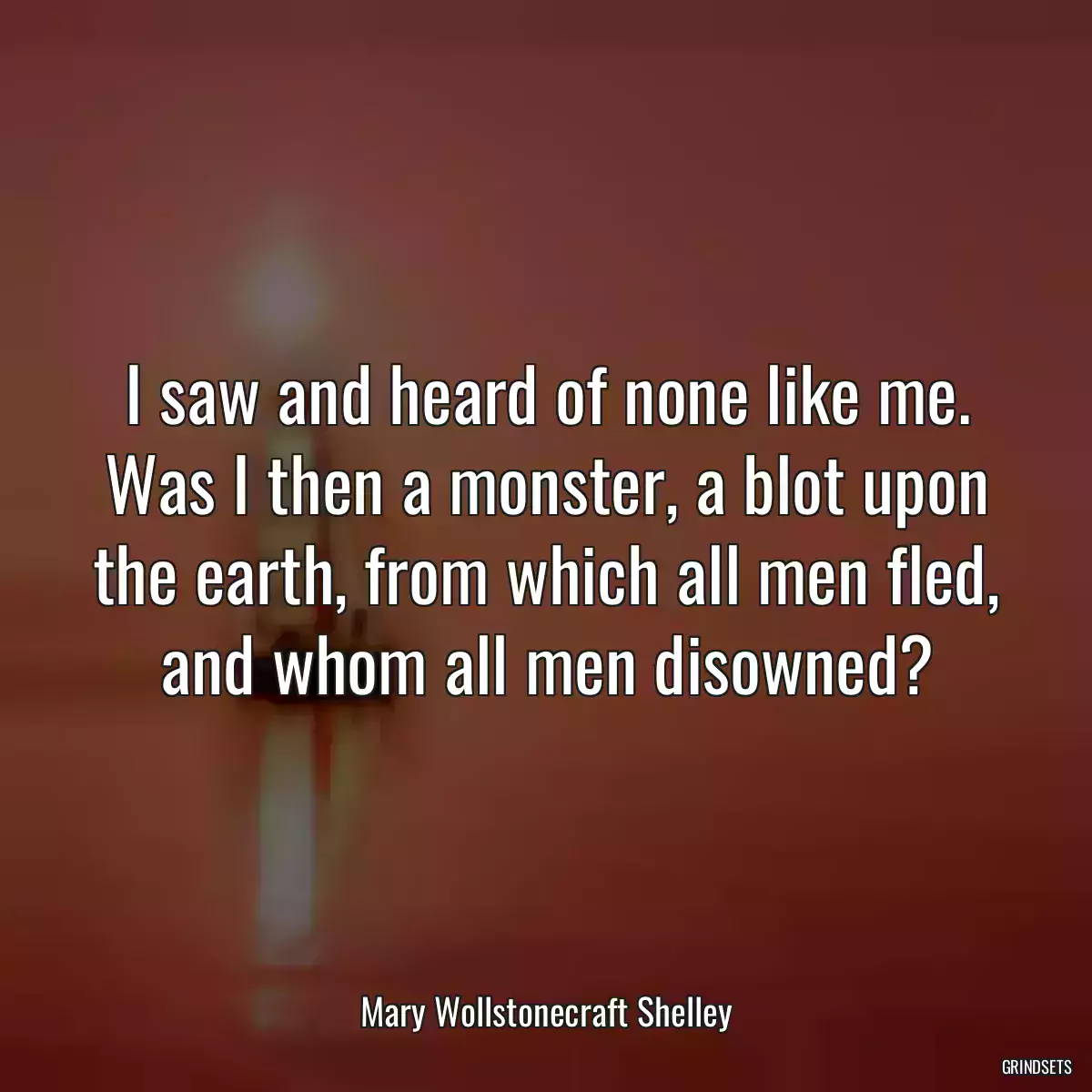 I saw and heard of none like me. Was I then a monster, a blot upon the earth, from which all men fled, and whom all men disowned?