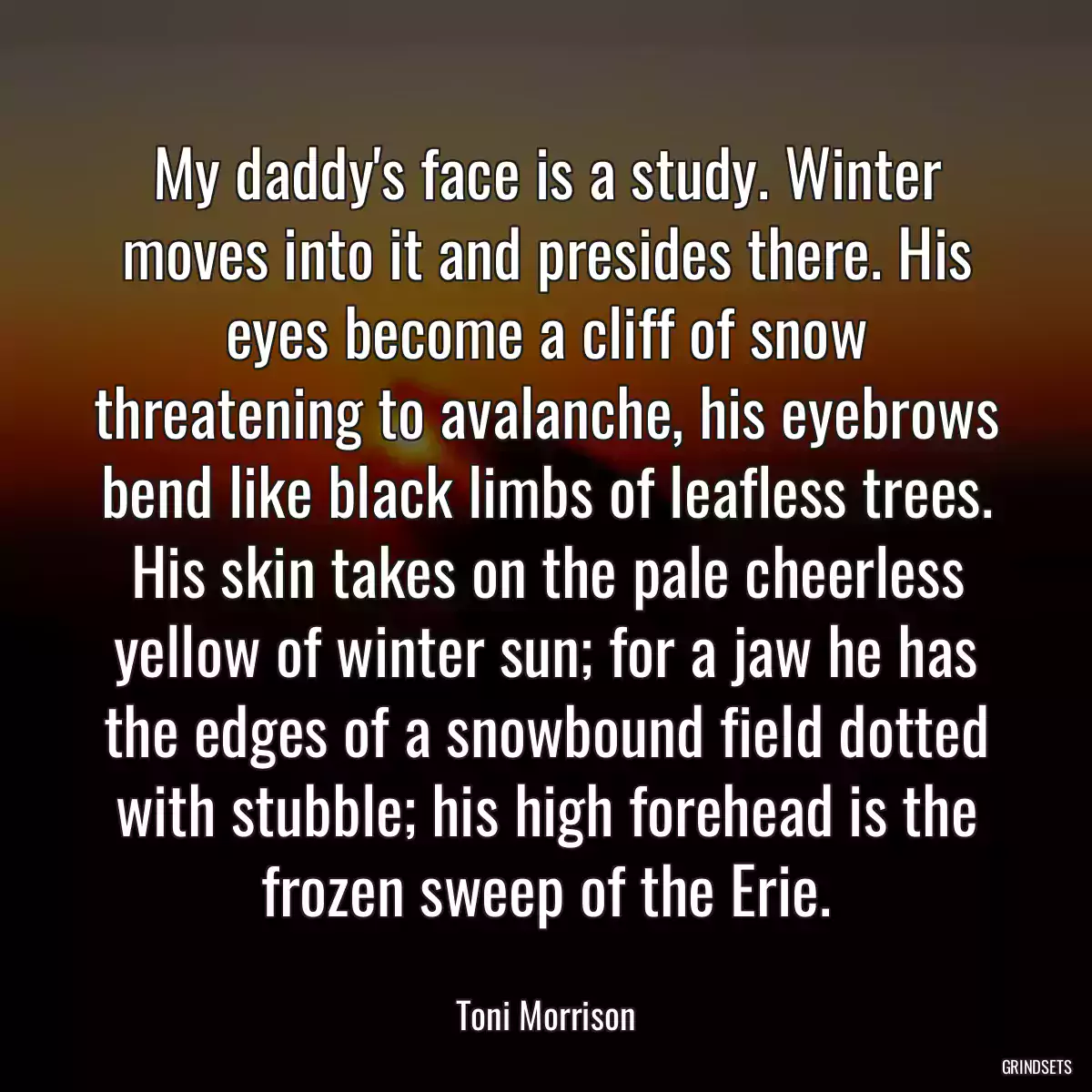 My daddy\'s face is a study. Winter moves into it and presides there. His eyes become a cliff of snow threatening to avalanche, his eyebrows bend like black limbs of leafless trees. His skin takes on the pale cheerless yellow of winter sun; for a jaw he has the edges of a snowbound field dotted with stubble; his high forehead is the frozen sweep of the Erie.