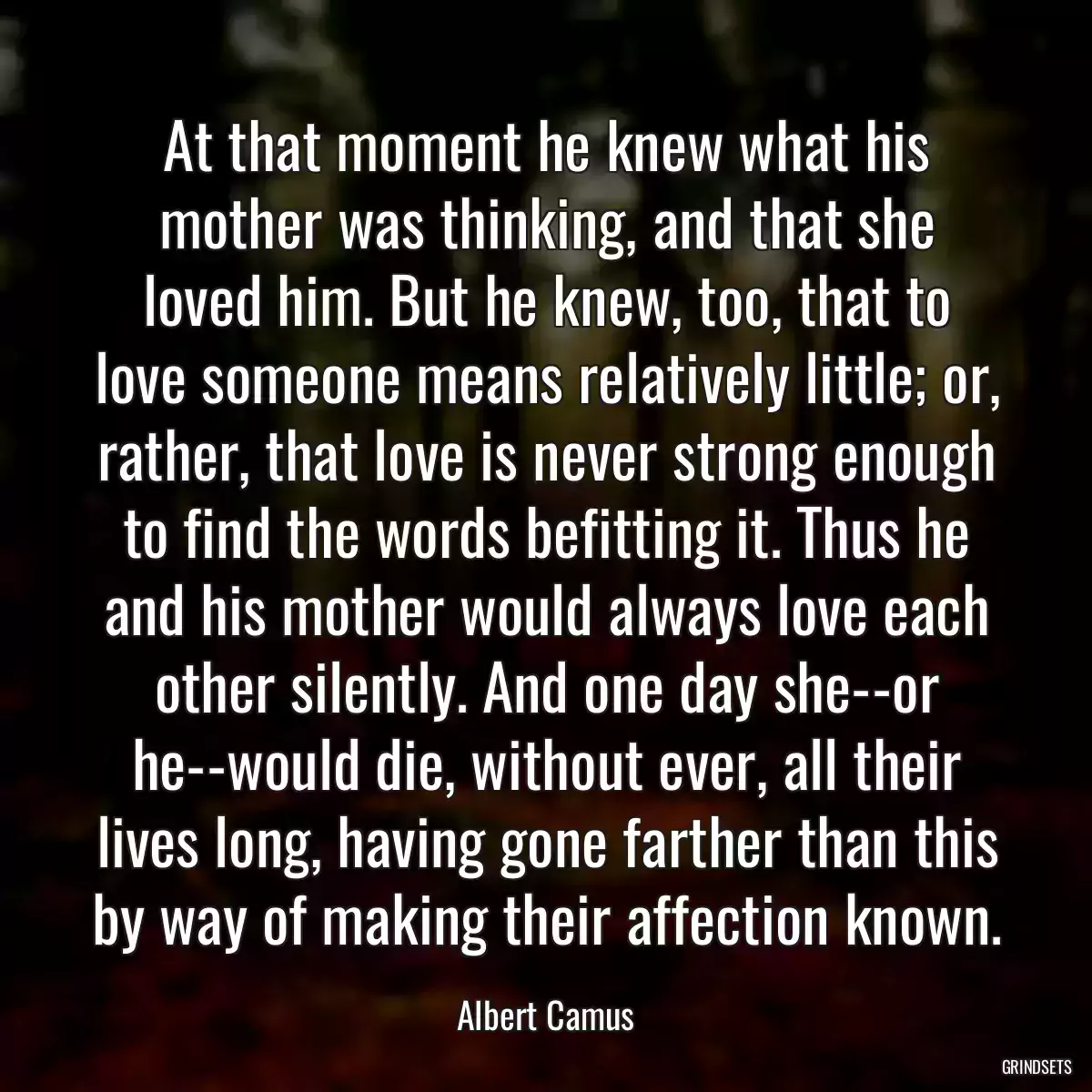 At that moment he knew what his mother was thinking, and that she loved him. But he knew, too, that to love someone means relatively little; or, rather, that love is never strong enough to find the words befitting it. Thus he and his mother would always love each other silently. And one day she--or he--would die, without ever, all their lives long, having gone farther than this by way of making their affection known.