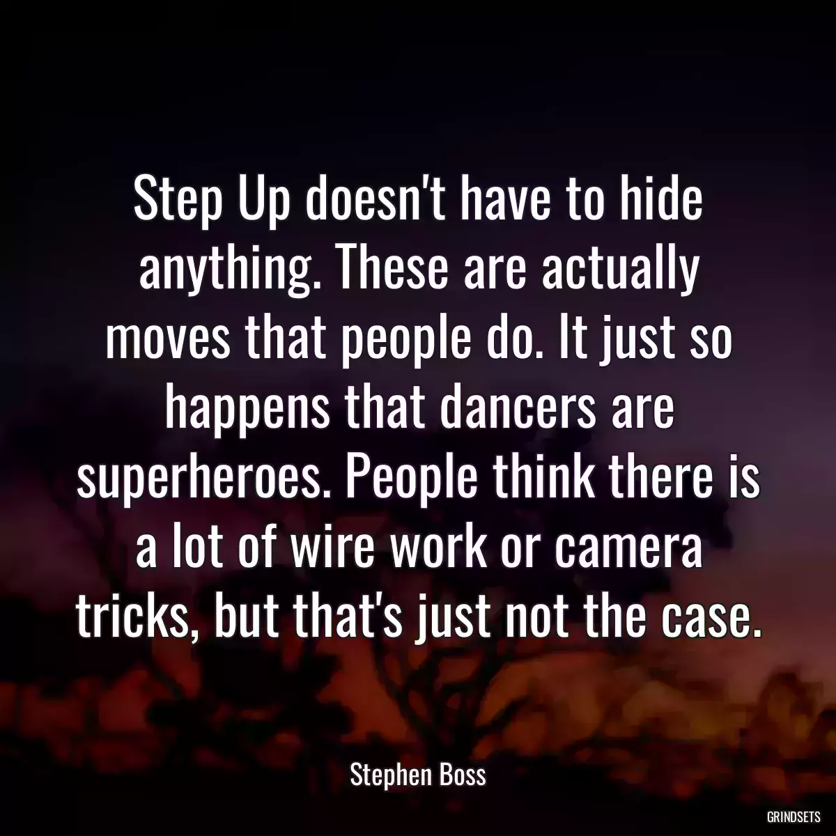 Step Up doesn\'t have to hide anything. These are actually moves that people do. It just so happens that dancers are superheroes. People think there is a lot of wire work or camera tricks, but that\'s just not the case.