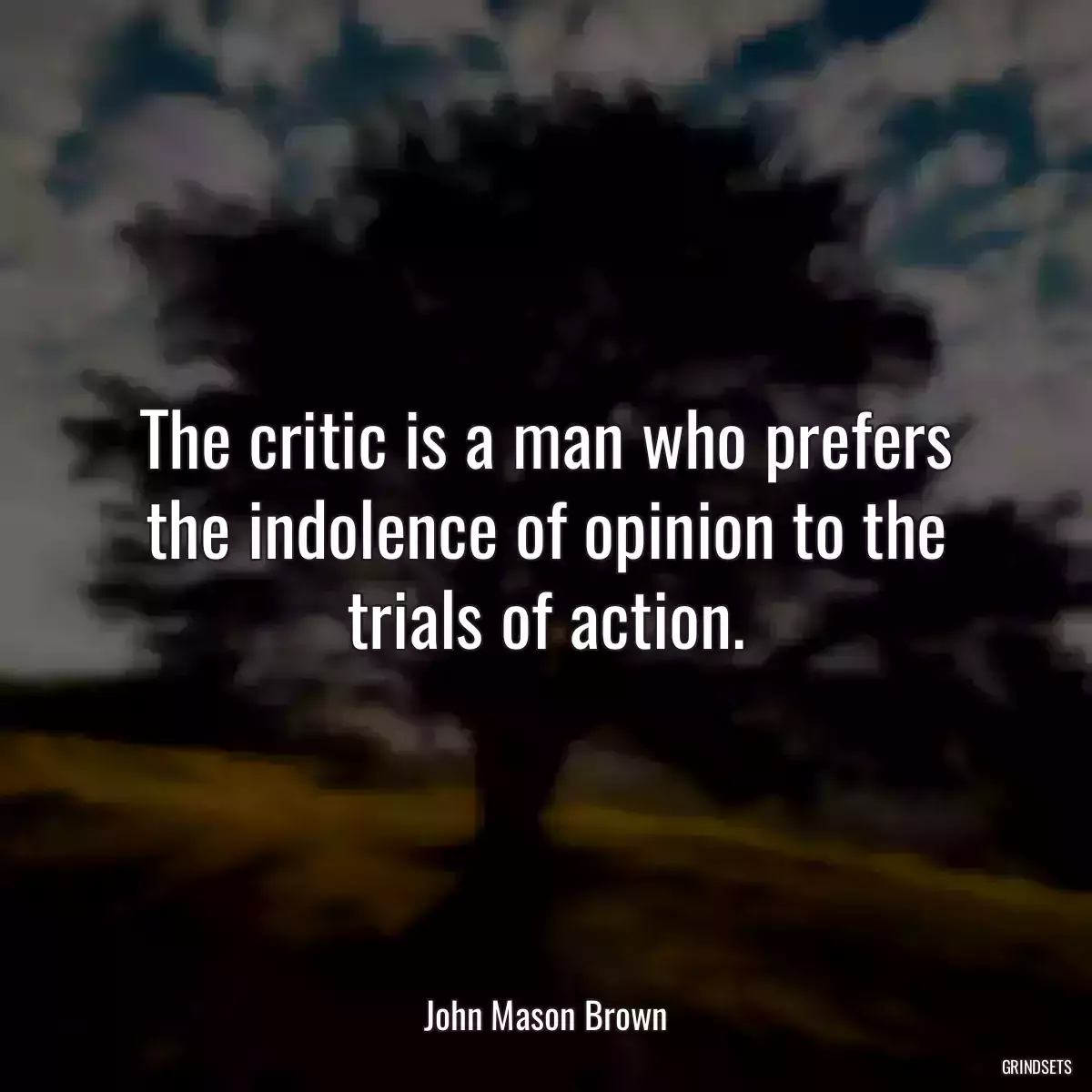 The critic is a man who prefers the indolence of opinion to the trials of action.