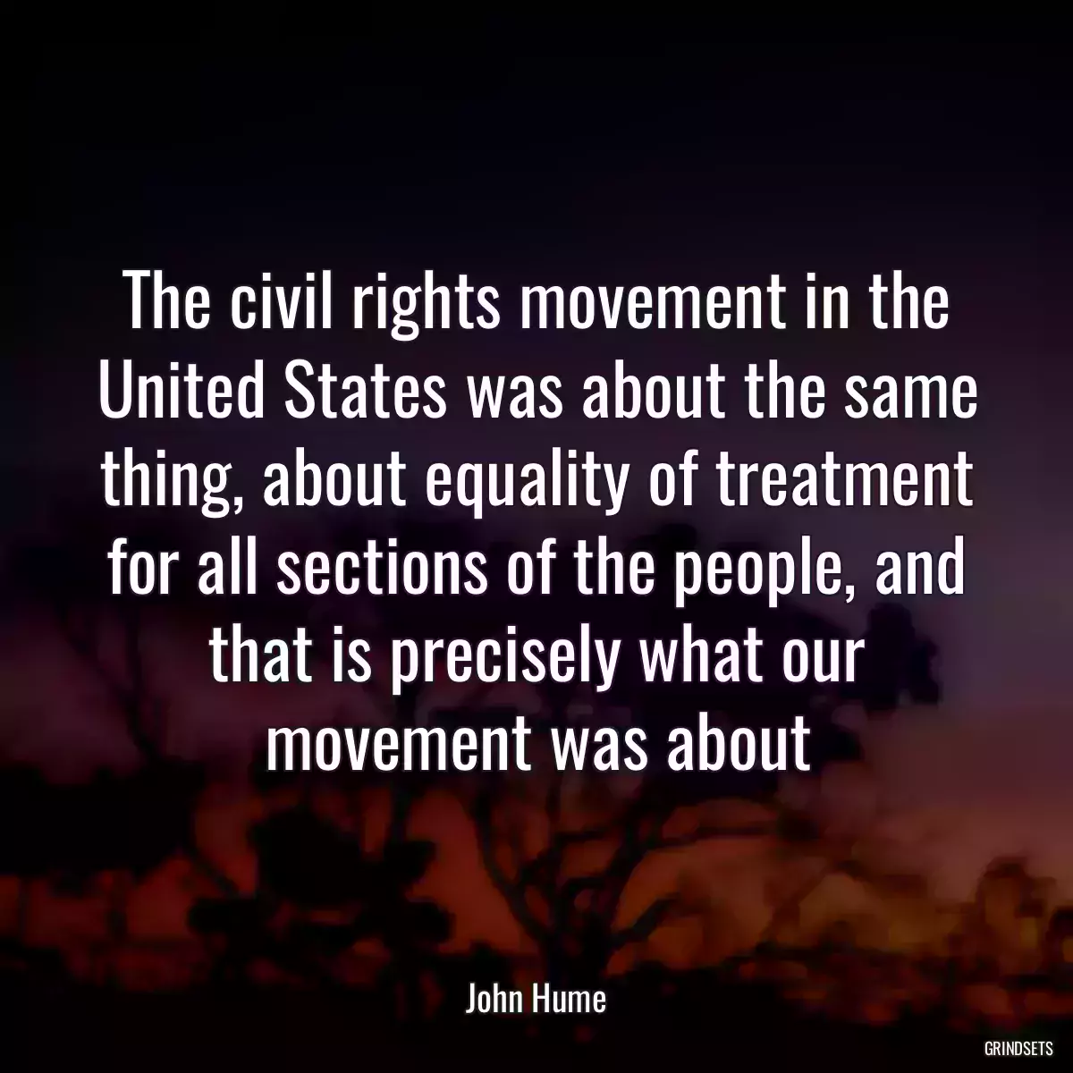 The civil rights movement in the United States was about the same thing, about equality of treatment for all sections of the people, and that is precisely what our movement was about