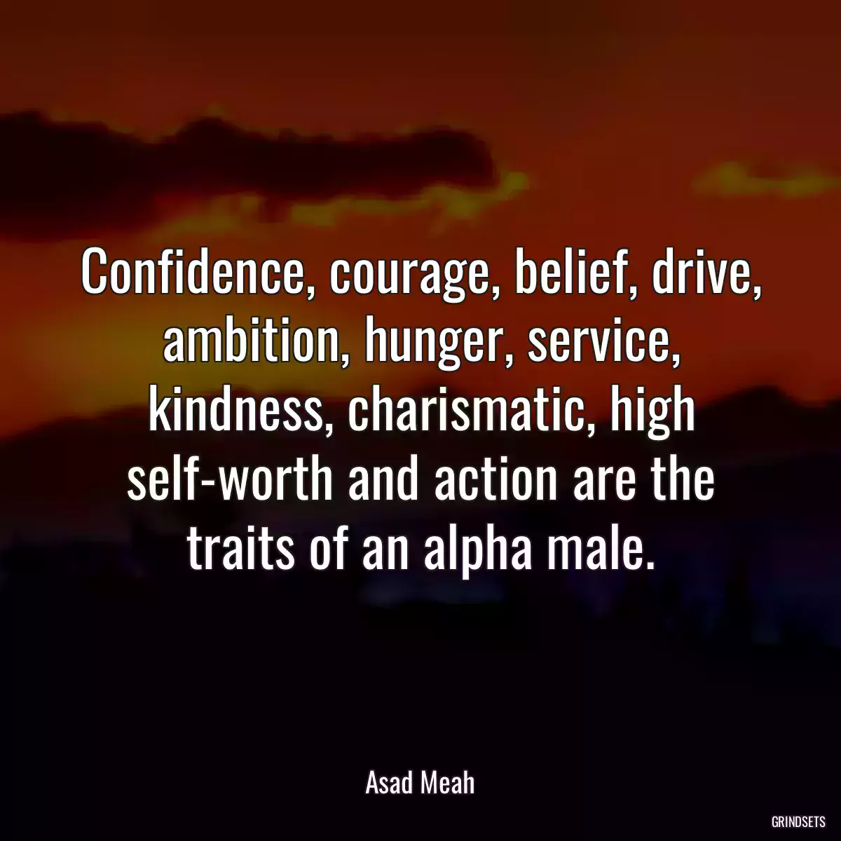 Confidence, courage, belief, drive, ambition, hunger, service, kindness, charismatic, high self-worth and action are the traits of an alpha male.