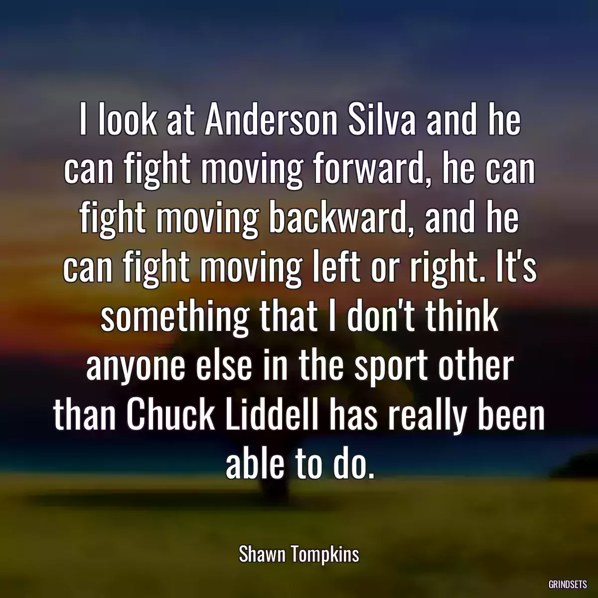 I look at Anderson Silva and he can fight moving forward, he can fight moving backward, and he can fight moving left or right. It\'s something that I don\'t think anyone else in the sport other than Chuck Liddell has really been able to do.