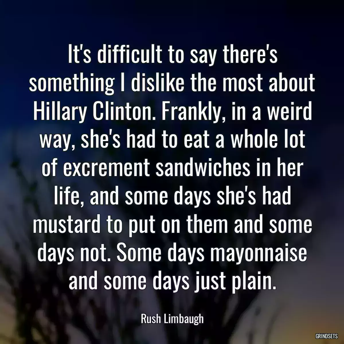 It\'s difficult to say there\'s something I dislike the most about Hillary Clinton. Frankly, in a weird way, she\'s had to eat a whole lot of excrement sandwiches in her life, and some days she\'s had mustard to put on them and some days not. Some days mayonnaise and some days just plain.