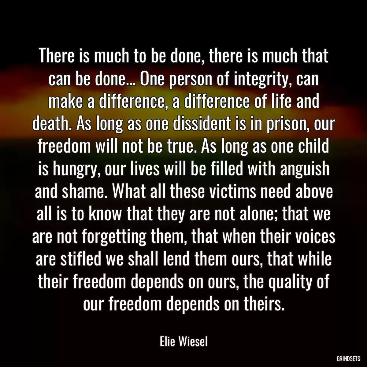 There is much to be done, there is much that can be done... One person of integrity, can make a difference, a difference of life and death. As long as one dissident is in prison, our freedom will not be true. As long as one child is hungry, our lives will be filled with anguish and shame. What all these victims need above all is to know that they are not alone; that we are not forgetting them, that when their voices are stifled we shall lend them ours, that while their freedom depends on ours, the quality of our freedom depends on theirs.