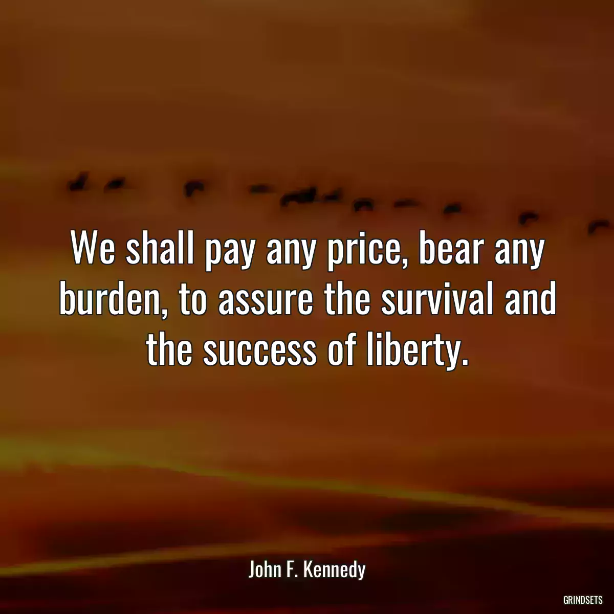 We shall pay any price, bear any burden, to assure the survival and the success of liberty.