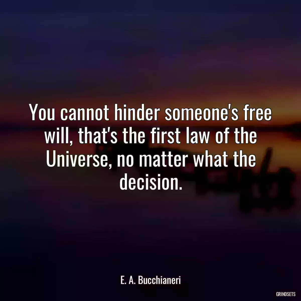 You cannot hinder someone\'s free will, that\'s the first law of the Universe, no matter what the decision.