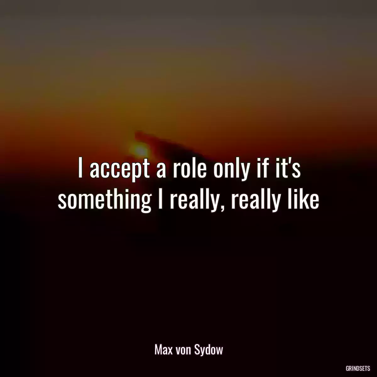 I accept a role only if it\'s something I really, really like