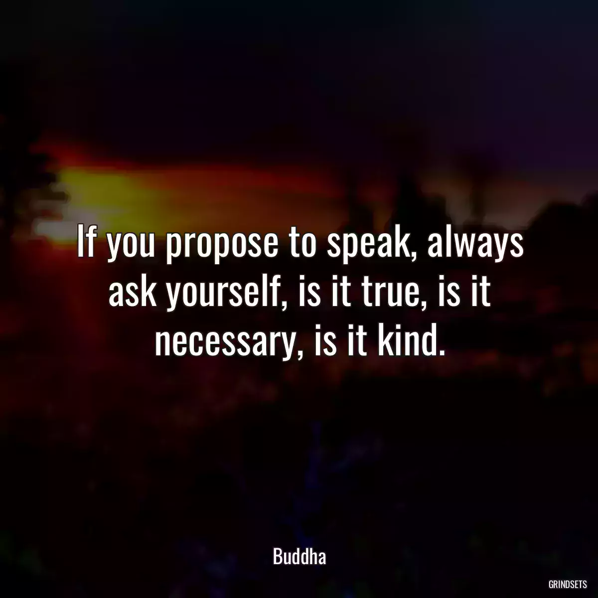 If you propose to speak, always ask yourself, is it true, is it necessary, is it kind.