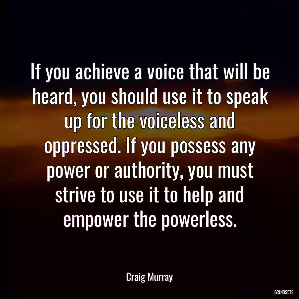 If you achieve a voice that will be heard, you should use it to speak up for the voiceless and oppressed. If you possess any power or authority, you must strive to use it to help and empower the powerless.