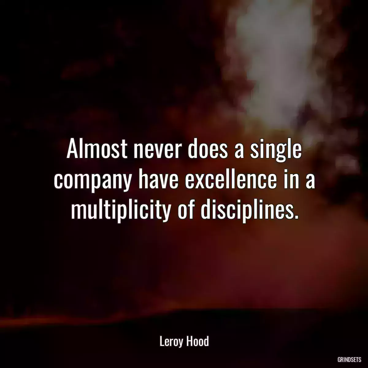 Almost never does a single company have excellence in a multiplicity of disciplines.