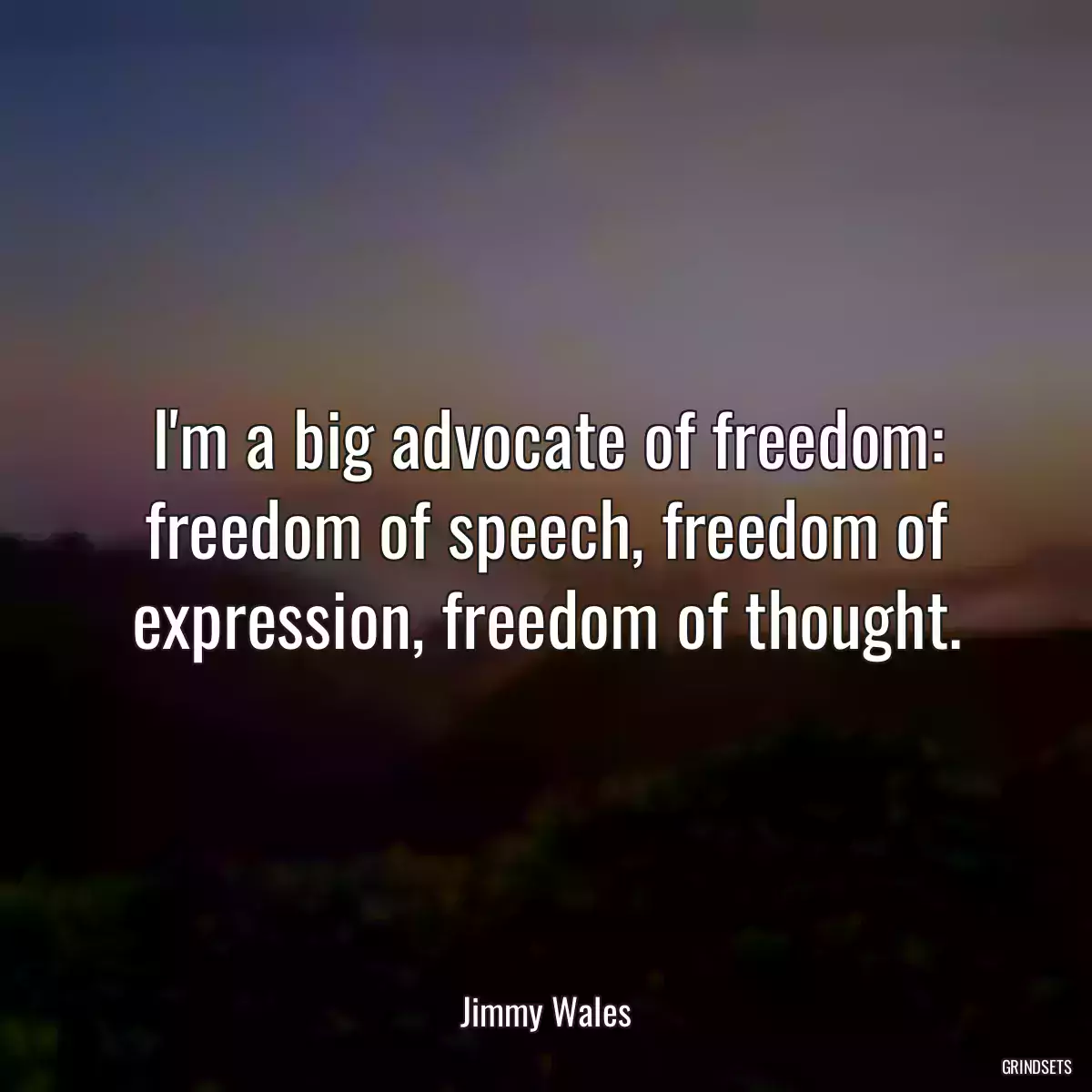 I\'m a big advocate of freedom: freedom of speech, freedom of expression, freedom of thought.