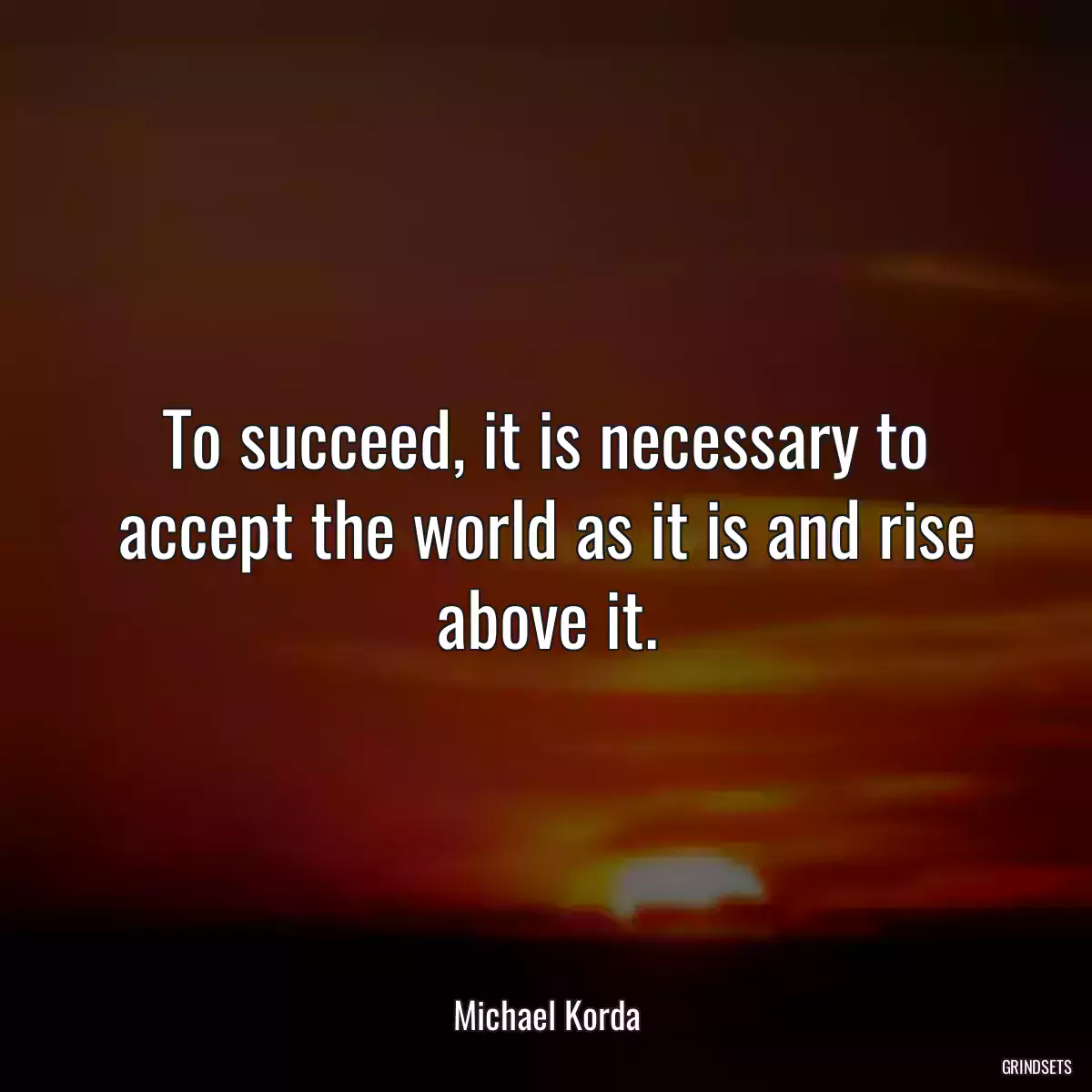 To succeed, it is necessary to accept the world as it is and rise above it.