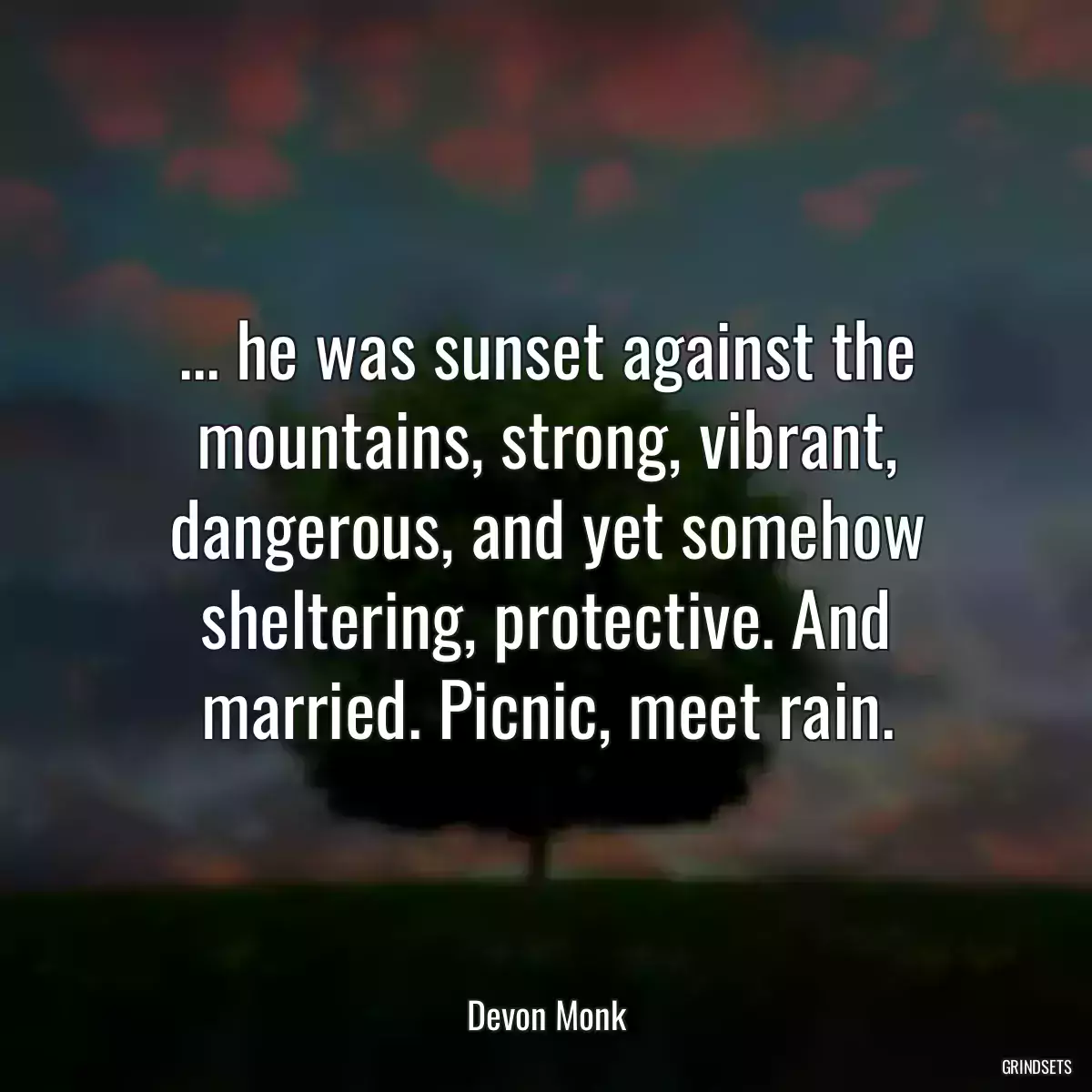 ... he was sunset against the mountains, strong, vibrant, dangerous, and yet somehow sheltering, protective. And married. Picnic, meet rain.