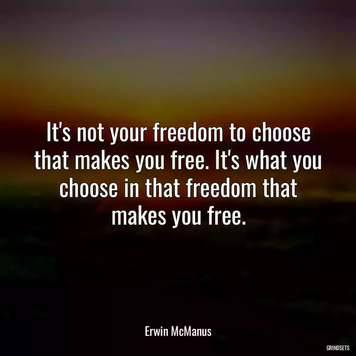 It\'s not your freedom to choose that makes you free. It\'s what you choose in that freedom that makes you free.