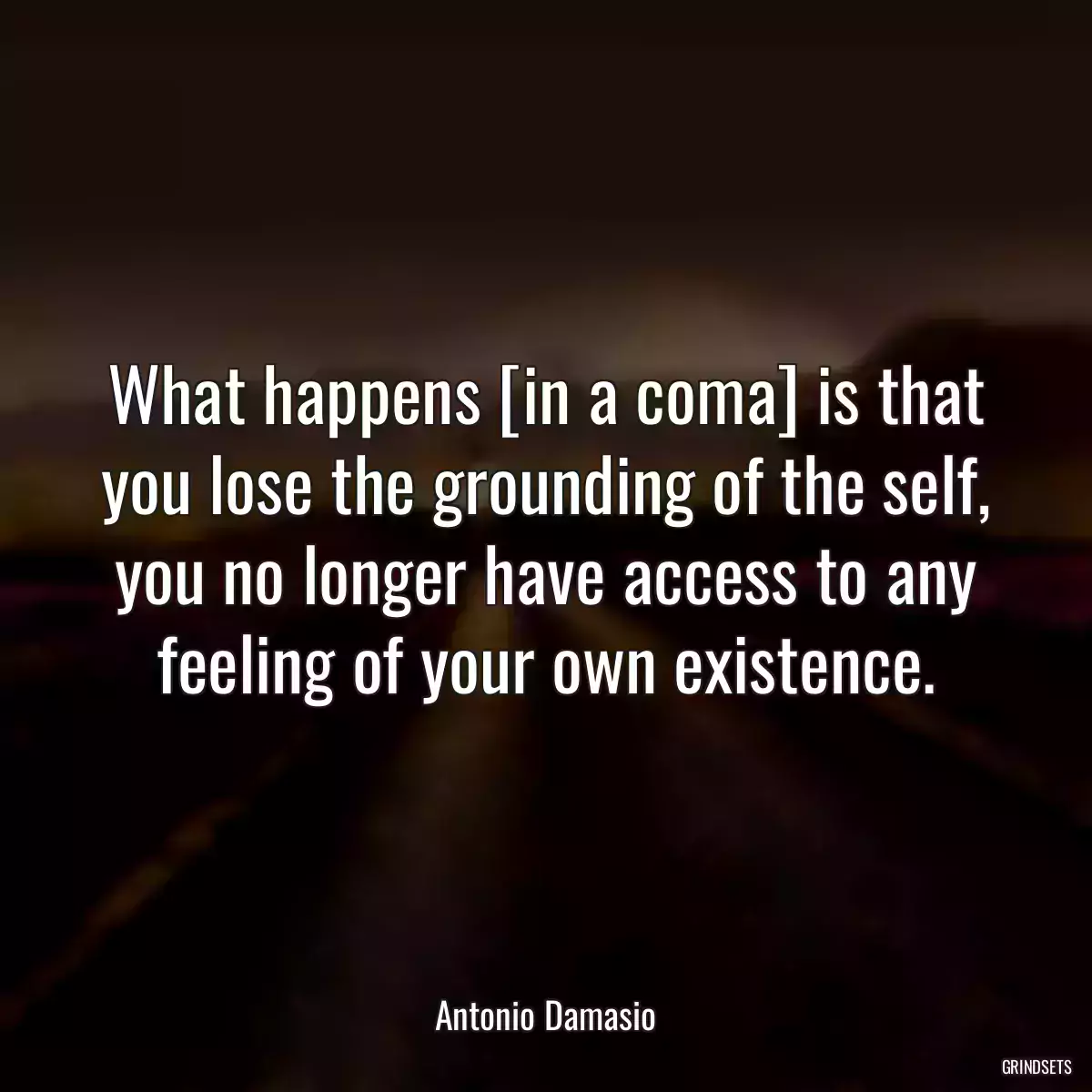 What happens [in a coma] is that you lose the grounding of the self, you no longer have access to any feeling of your own existence.