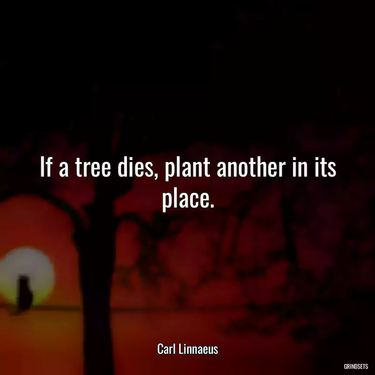 If a tree dies, plant another in its place.