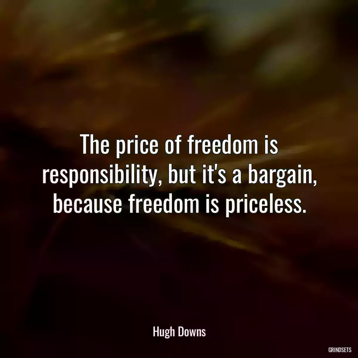 The price of freedom is responsibility, but it\'s a bargain, because freedom is priceless.