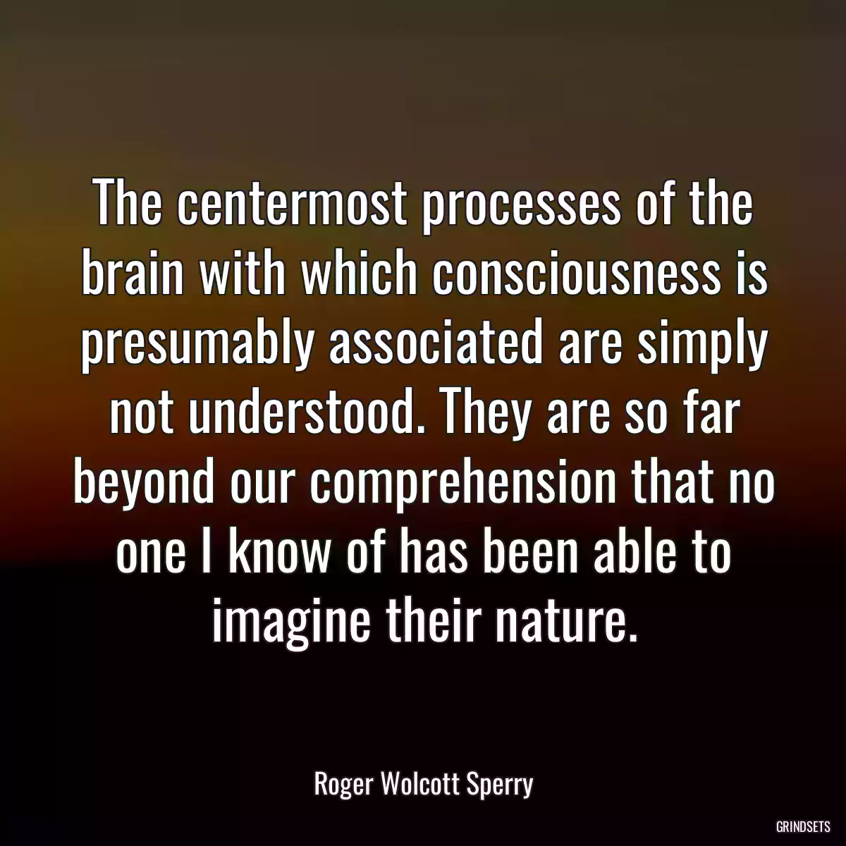 The centermost processes of the brain with which consciousness is presumably associated are simply not understood. They are so far beyond our comprehension that no one I know of has been able to imagine their nature.