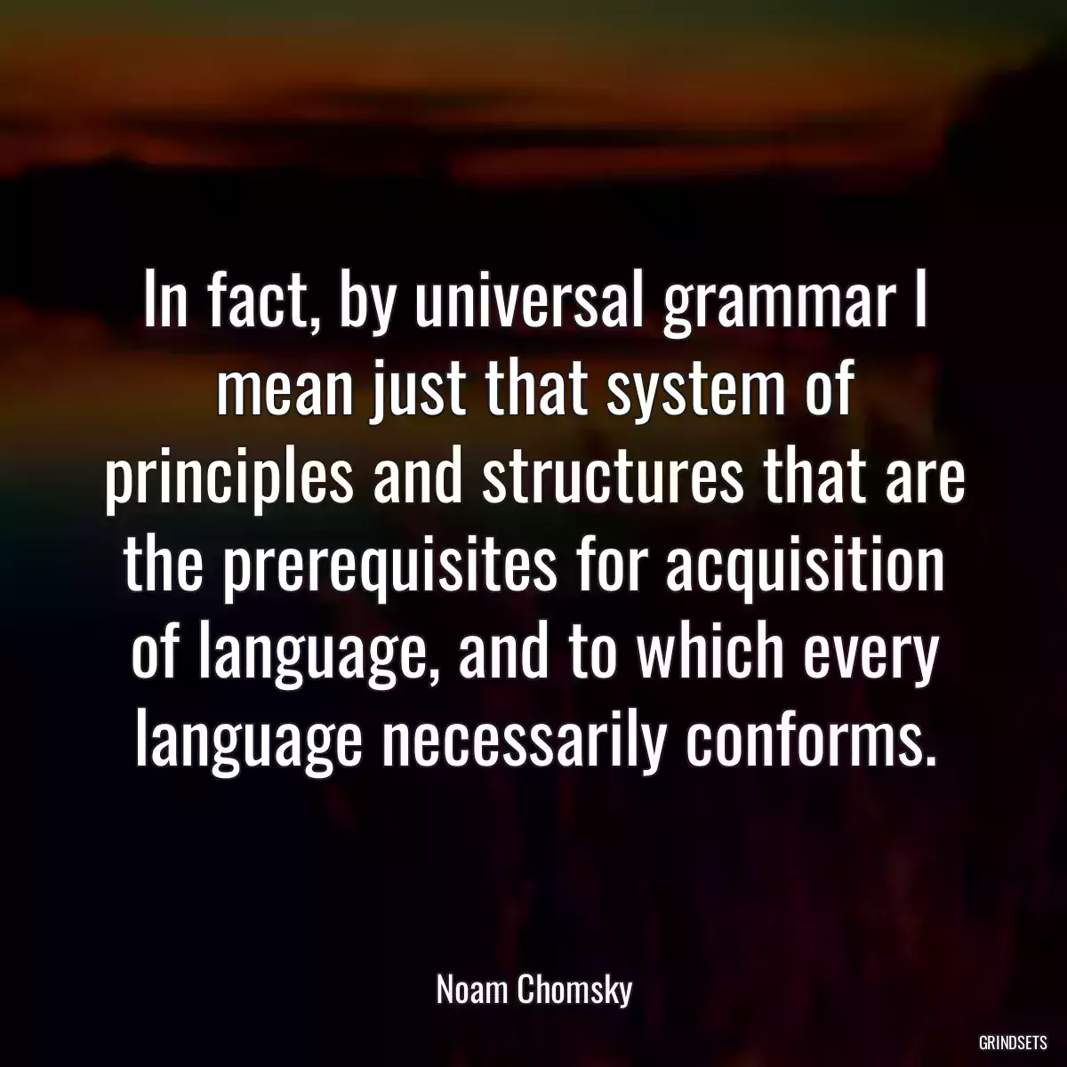 In fact, by universal grammar I mean just that system of principles and structures that are the prerequisites for acquisition of language, and to which every language necessarily conforms.