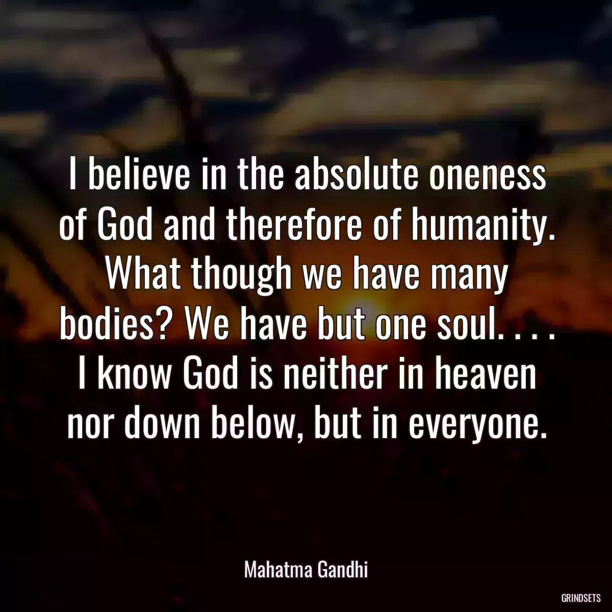 I believe in the absolute oneness of God and therefore of humanity. What though we have many bodies? We have but one soul. . . . I know God is neither in heaven nor down below, but in everyone.