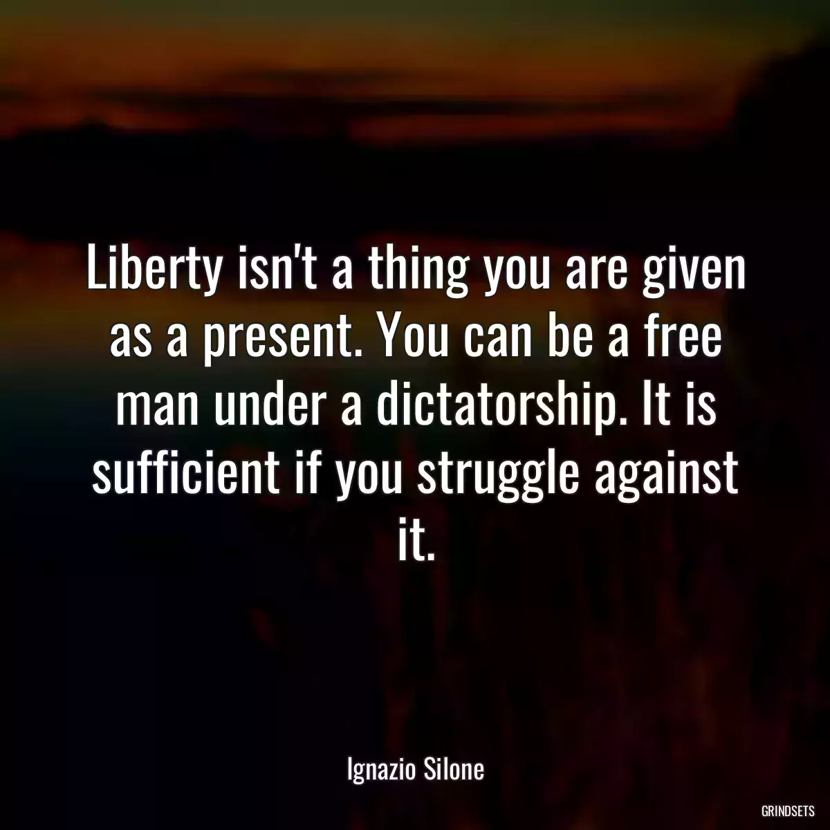 Liberty isn\'t a thing you are given as a present. You can be a free man under a dictatorship. It is sufficient if you struggle against it.