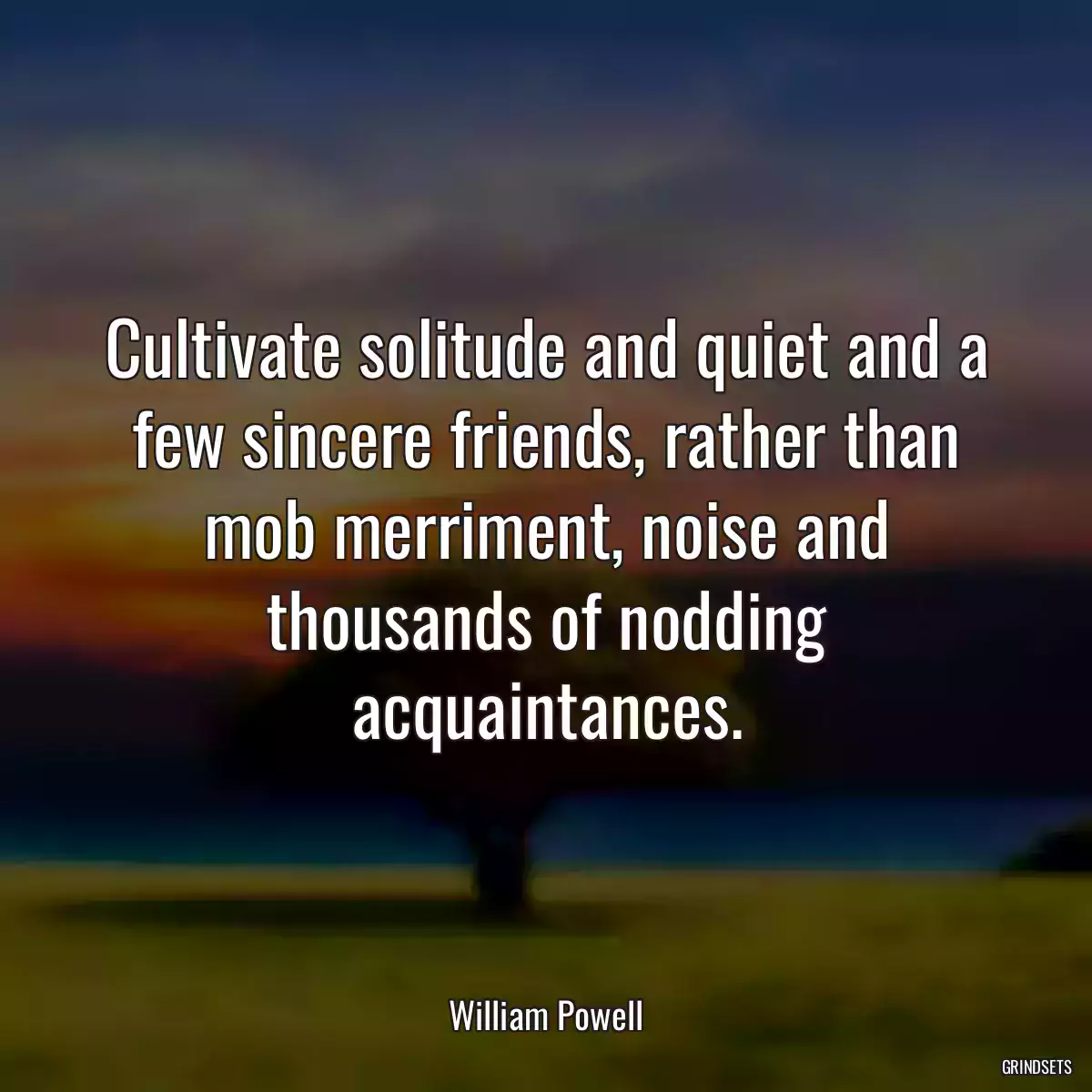 Cultivate solitude and quiet and a few sincere friends, rather than mob merriment, noise and thousands of nodding acquaintances.