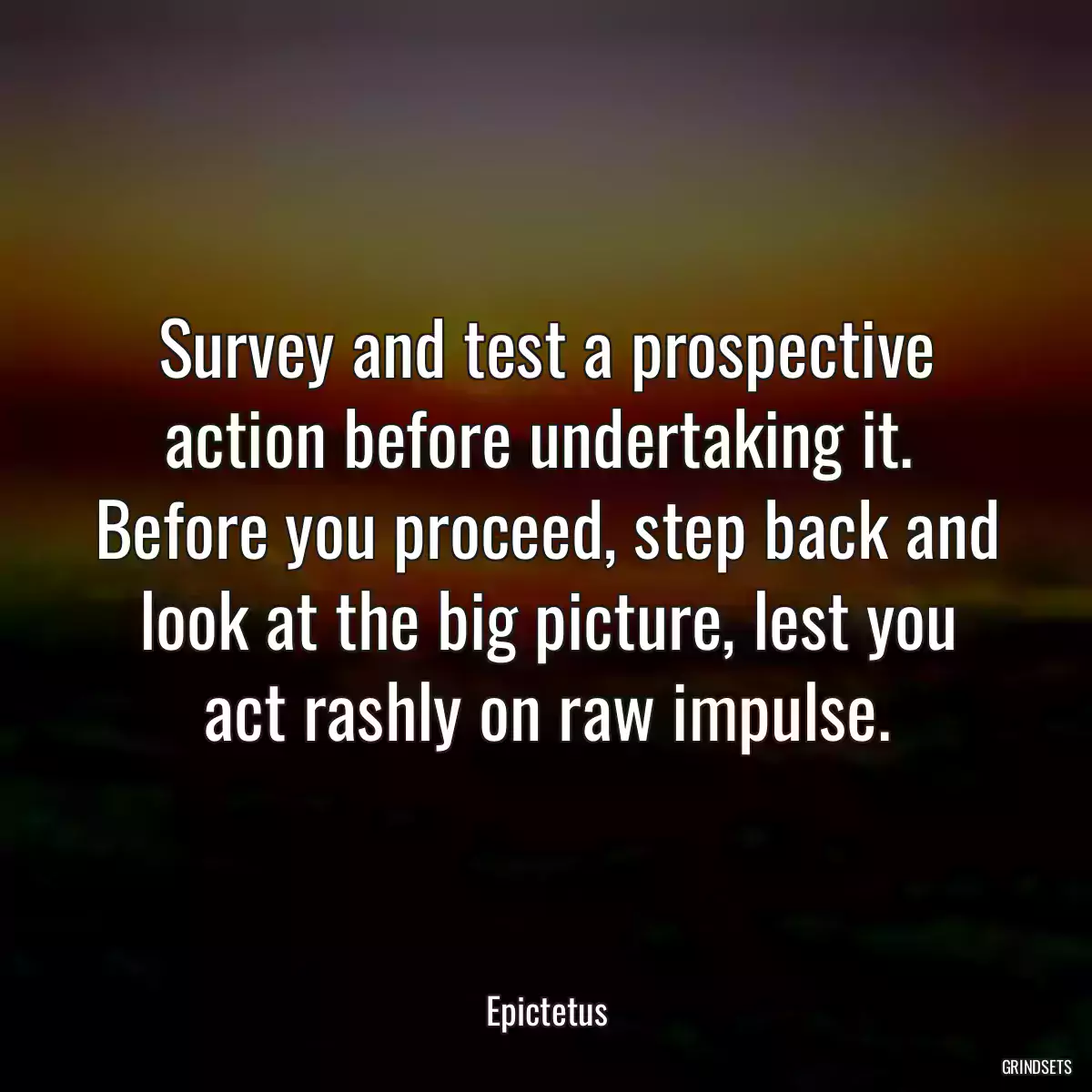 Survey and test a prospective action before undertaking it.  Before you proceed, step back and look at the big picture, lest you act rashly on raw impulse.