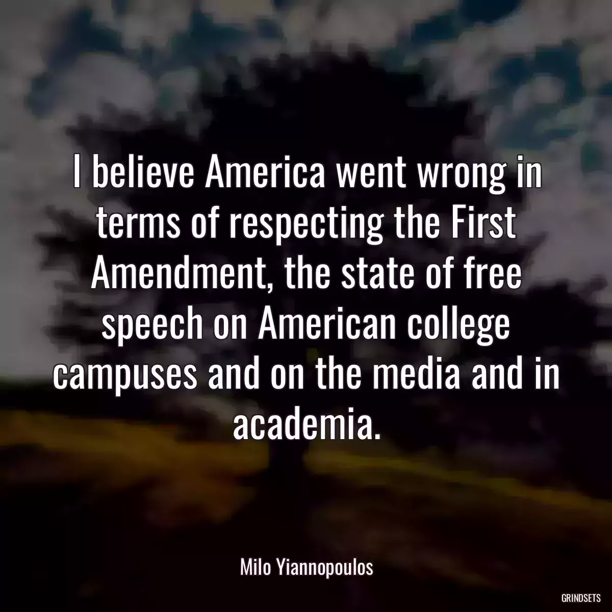 I believe America went wrong in terms of respecting the First Amendment, the state of free speech on American college campuses and on the media and in academia.