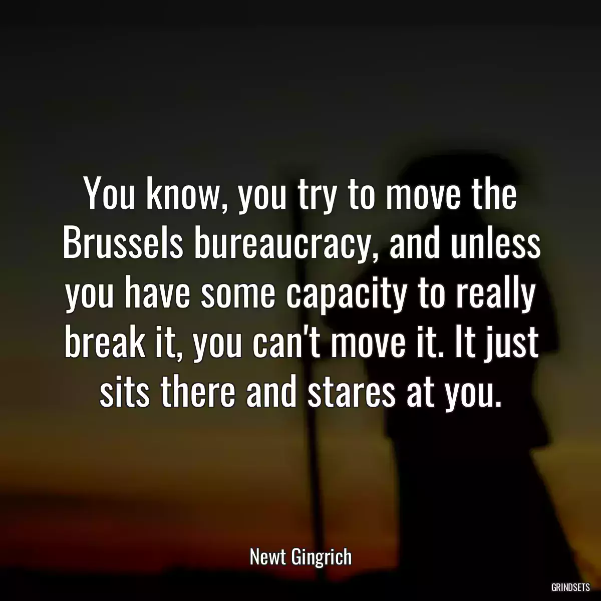 You know, you try to move the Brussels bureaucracy, and unless you have some capacity to really break it, you can\'t move it. It just sits there and stares at you.