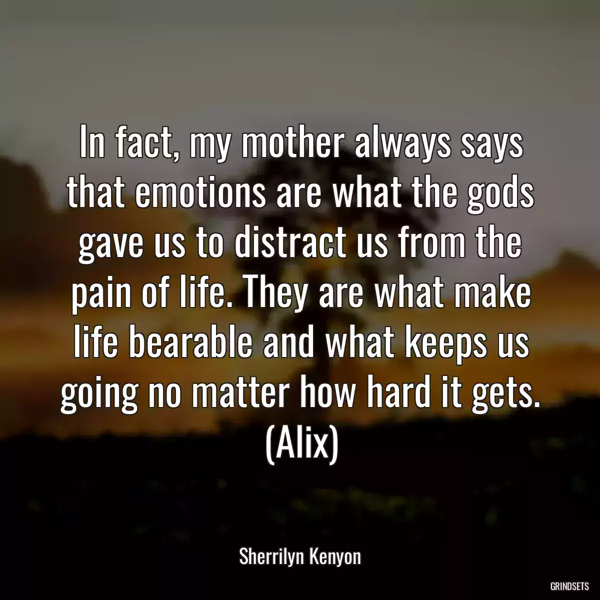 In fact, my mother always says that emotions are what the gods gave us to distract us from the pain of life. They are what make life bearable and what keeps us going no matter how hard it gets. (Alix)