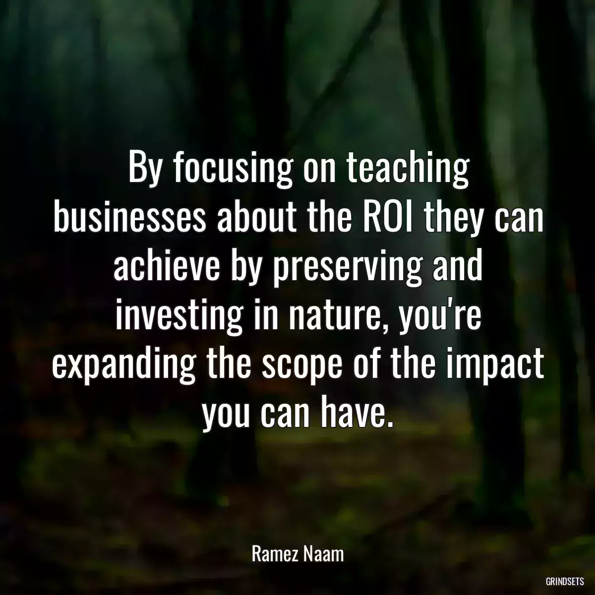 By focusing on teaching businesses about the ROI they can achieve by preserving and investing in nature, you\'re expanding the scope of the impact you can have.