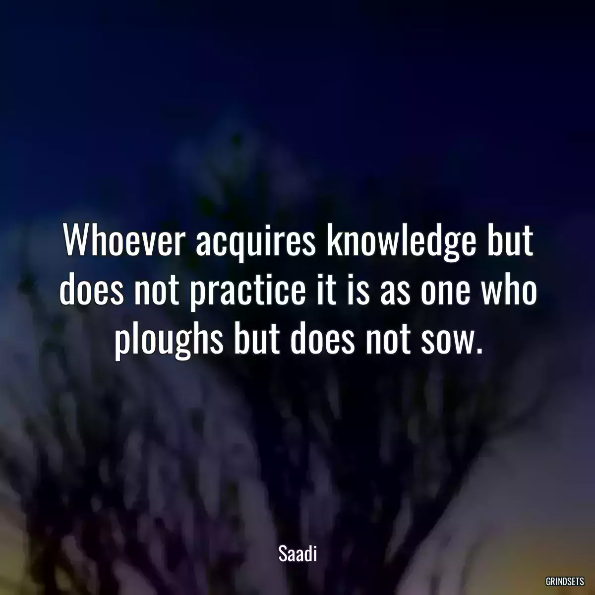 Whoever acquires knowledge but does not practice it is as one who ploughs but does not sow.