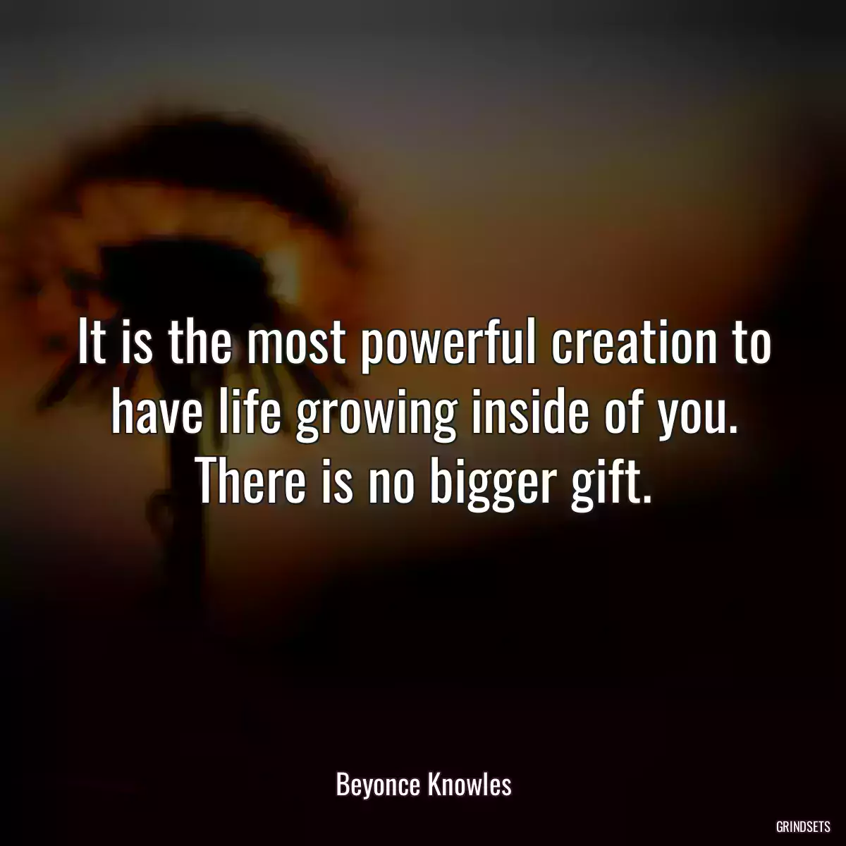 It is the most powerful creation to have life growing inside of you. There is no bigger gift.