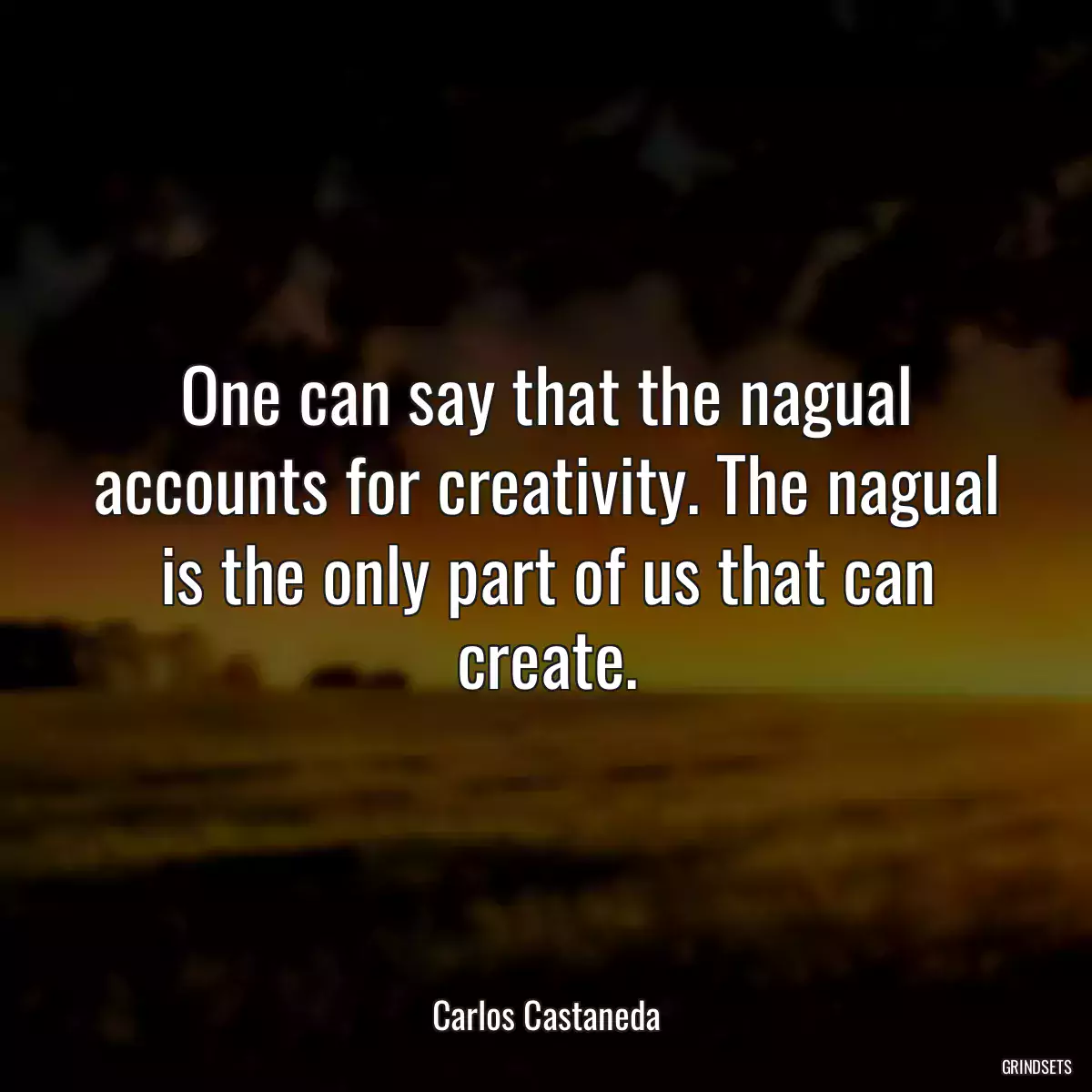 One can say that the nagual accounts for creativity. The nagual is the only part of us that can create.